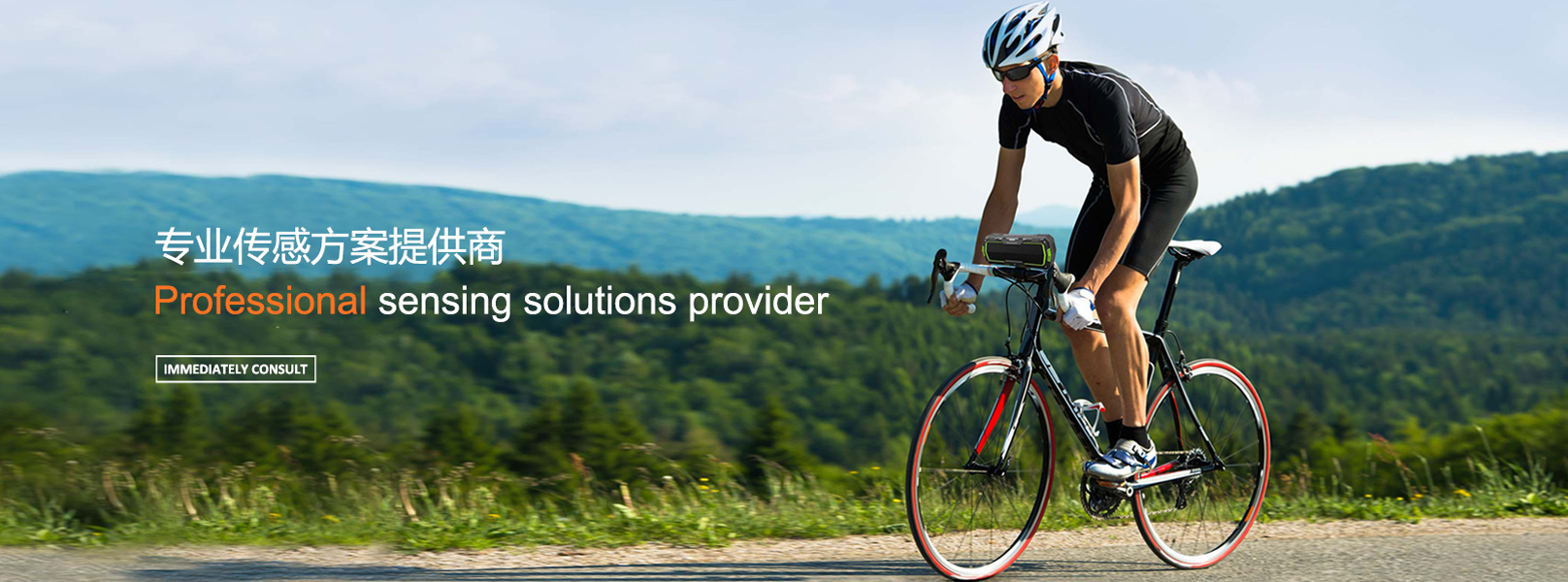 Professional sensor solutions provider